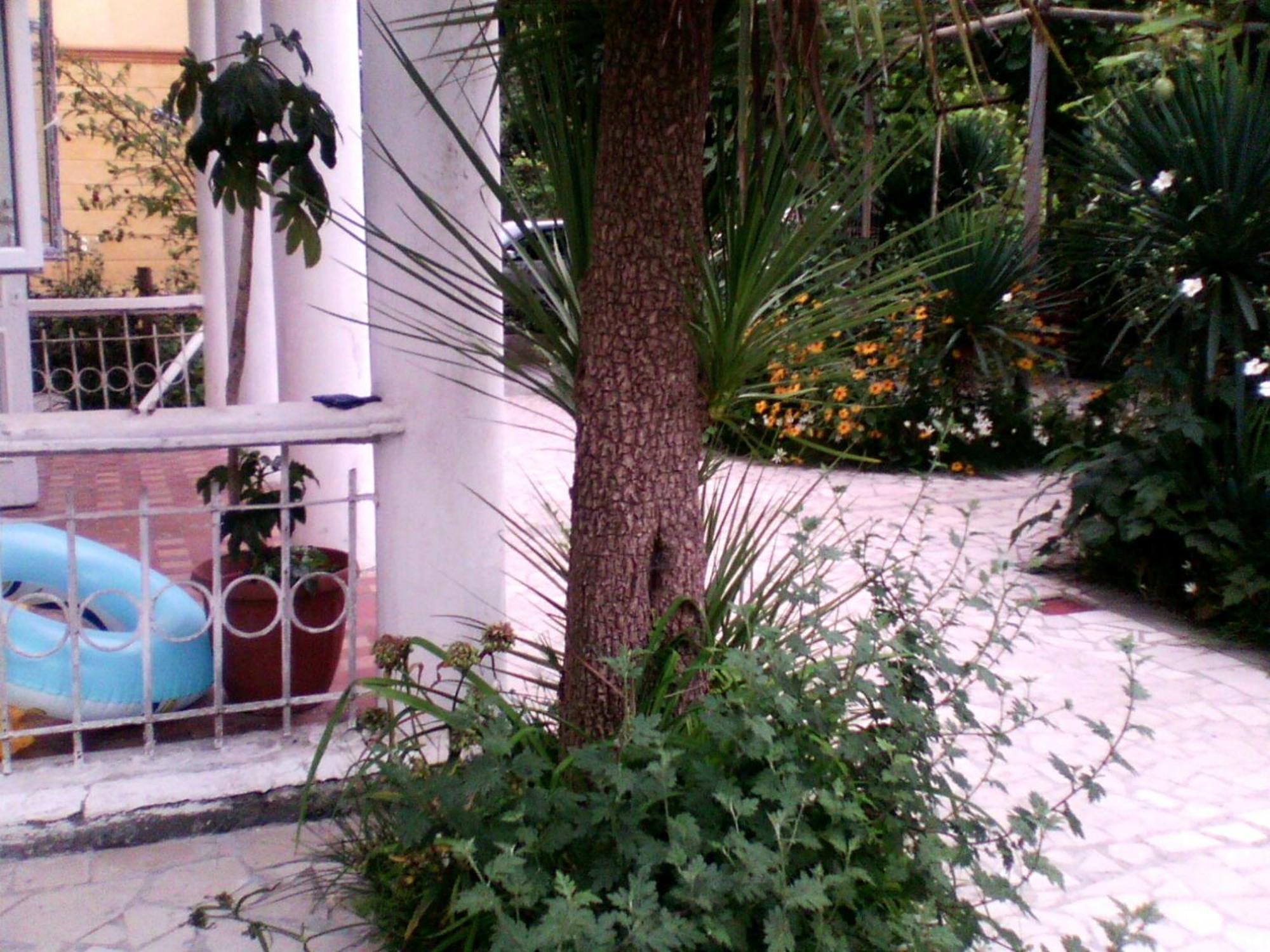 White Guest House Batumi Exterior photo